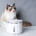 Cat Automatic Circulation Five-layer Filter Fountain Drinking Fountain Electric Pet Drinking Fountain - Minihomy