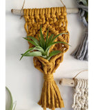 Home Decor Mini Macrame Plant Hangers For Air Plant - Minihomy