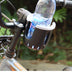 Outdoor Cycling Water Bottle Rack - Minihomy