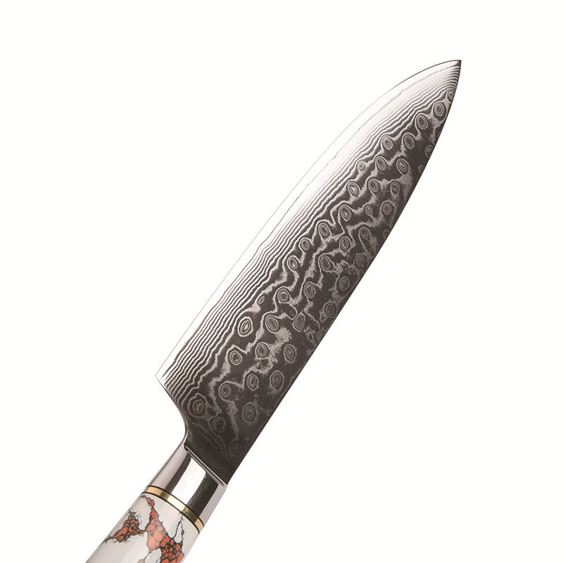 Stainless Steel Lightweight Gift Chef's Knife