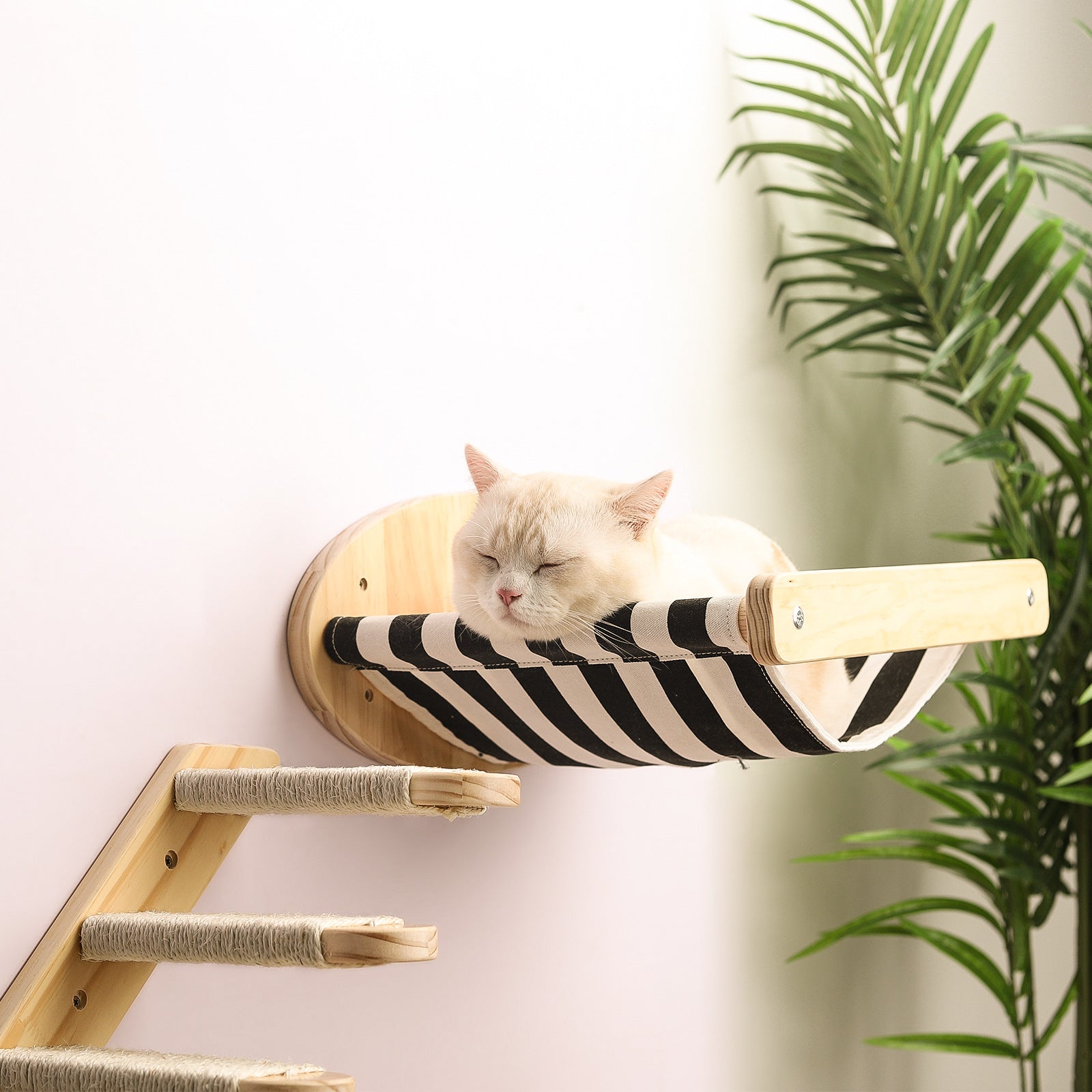 Pine Wood Cat Climbing Frame Cat Wall Hammock Staircase Room Space Capsule Cat Toy