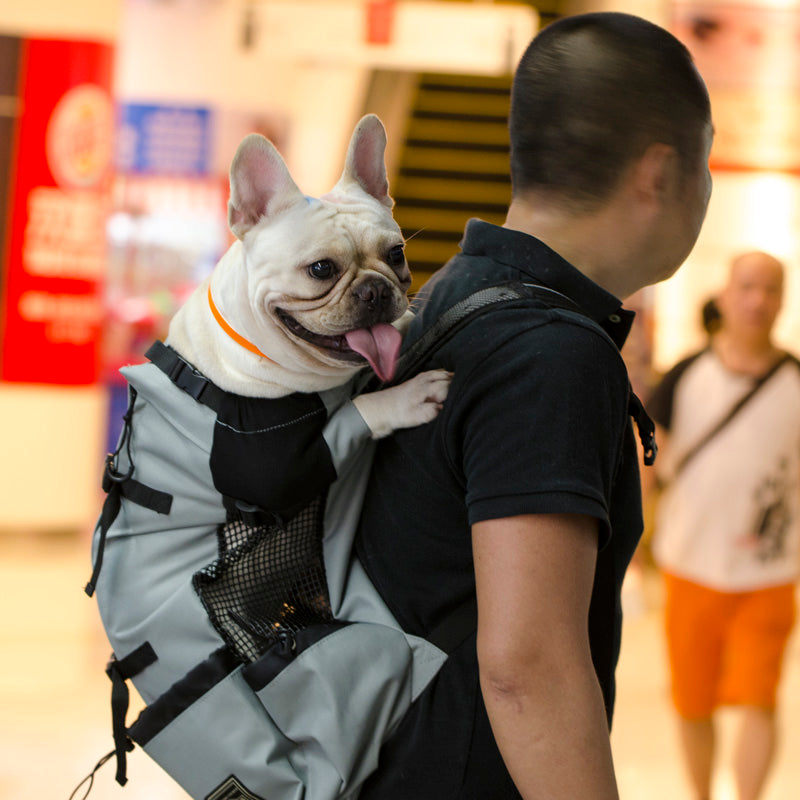 Adjustable Pet Dog Outdoor Travel Backpack For Hiking Cycling Reflective Carrier Bag For Dogs French Bulldog Pug Carrying Bags - Minihomy